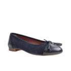 082 481 PCL Azul1_1-1